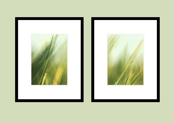 2_both_7485