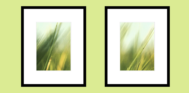 2grass_ for_gallery2