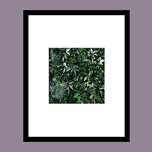 green_forgallery2